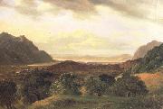 Alexandre Calame The Rhone Valley at Bex with a View to the Lake of Geneva (nn02) oil painting reproduction
